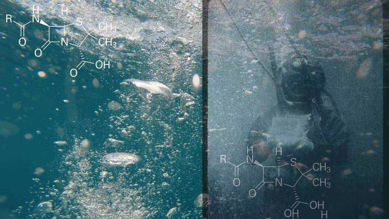 aqua forensic